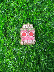 Stay Sweet Strawberry Acrylic Blank & Decal Set
