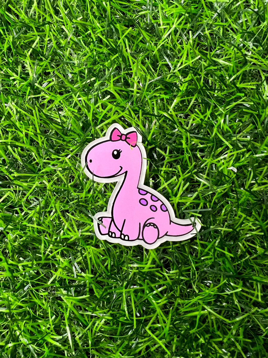 Baby Dino Pink Acrylic Blank & Decal Set